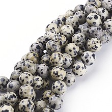 Honeyhandy Natural Dalmatian Jasper Beads Strands, Round, 10mm, Hole: 1mm