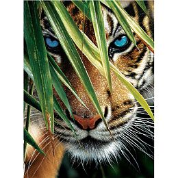 Honeyhandy 5D DIY Diamond Painting Animals Canvas Kits, with Resin Rhinestones, Diamond Sticky Pen, Tray Plate and Glue Clay, Tiger Pattern, 30x20x0.02cm