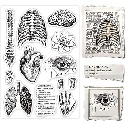 GLOBLELAND Human Body Silicone Clear Stamp Spine Brain Transparent Silicone Stamp Heart Lungs Rubber Stamp for Scrapbook Journal Card Making 4.3 x 6.3 Inch