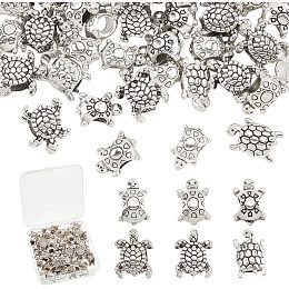 Arricraft 60 Pcs 6 Styles Turtle Charm Beads, Beach Tortoise Spacer Beads Antique Silver Beads Charms Alloy Bead Set Accessories for DIY Bracelet Necklace Jewelry Craft Making