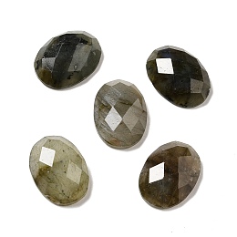 Honeyhandy Natural Labradorite Cabochons, Faceted, Oval, 18x13x6mm