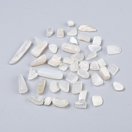 Honeyhandy Natural Moonstone Beads, No Hole/Undrilled, Chip, 7~18x4~6x2~5mm, about 1388pcs/500g