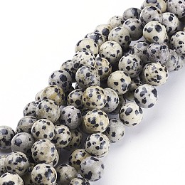 Honeyhandy Natural Dalmatian Jasper Beads Strands, Round, 10mm, Hole: 1mm