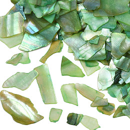 Honeyhandy Natural Abalone/Paua Shell Mica Fragment, Nail Art Decorations, Shell Mica Slices, Dyed, Sea Green, 1~20x1~15x0.5mm