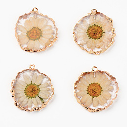 Honeyhandy Resin Pendants, with Dried Flower and Edge Light Gold Plated Iron Loop, Flat Round, Clear, 33.5~35x31~32x4.5~5.5mm, Hole: 1.6mm