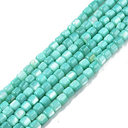 Honeyhandy Natural Freshwater Shell Beads Strands, Dyed, Column, Turquoise, 3.5x3.5mm, Hole: 0.8mm, about 110~113pcs/strand, 14.69 inch~15.08 inch(37.3~38.3cm)