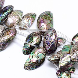 Honeyhandy Natural Paua Shell Shell Beads Strands, Nuggets, Colorful, 10~22x24~50x4~9mm, Hole: 1mm, about 10pcs/strand, 15.7 inch