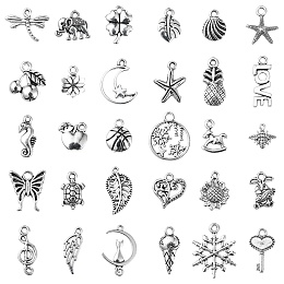 Honeyhandy 30Pcs 30 Style Tibetan Style Alloy Charms, Mixed Shapes, Antique Silver, 10~21x7~15x1~4mm, Hole: 1~2mm, 1pc/style