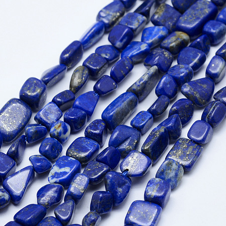 Arricraft Natural Lapis Lazuli Beads Strands, Nuggets, Grade AB, 5~12x4~9mm, Hole: 1mm, 15.7 inches~15.9 inches(40~40.5cm)