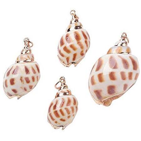ARRICRAFT 20pcs Conch Electroplate Spiral Shell Pendants with Golden Iron Findings Seashells Beads Charms for Jewelry Making and Crafting