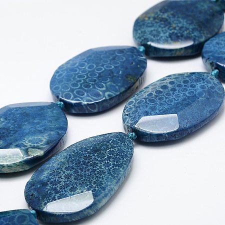 NBEADS Natural Chrysanthemum Stone Beads Strands, Dyed, Oval, DodgerBlue, 41.5~71x28~36x8.5~12mm, Hole: 3mm, 15.3