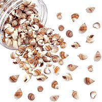 NBEADS About 300 Pcs Natural Spiral Shell Beads Undrilled Seashell Beads Beach Seashell Charms for DIY Summer Ocean Craft Jewelry Making Wedding Party Home Decor