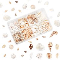 PandaHall Elite Natural Sea Shells, 270pcs 8 Styles Ocean Beach Seashells Undyed Spiral Seashells Spiral Seashells Craft Charms for Home Decorations Vase Filler Fish Tank Party Baby Shower