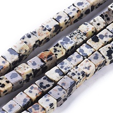 Honeyhandy Natural Dalmatian Jasper Beads Strands, Cube, 5.5~6.5x5.5~6.5x5.5~6.5mm, Hole: 0.8mm, about 62pcs/strand, 15.63 inch(39.7cm)