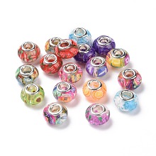 Honeyhandy Transparent Resin European Rondelle Beads, Large Hole Beads, with Polymer Clay and Platinum Tone Alloy Double Cores, Mixed Color, 14x8.5mm, Hole: 5mm