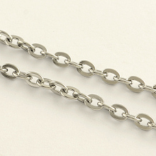 Honeyhandy 3.28 Feet 304 Stainless Steel Cable Chains, Unwelded, Flat Oval, Stainless Steel Color, 5.5x4x0.9mm