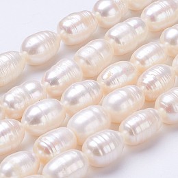 Honeyhandy Grade AA Natural Cultured Freshwater Pearl Beads Strands, Rice, Old Lace, 11~15x9~10mm, Hole: 0.5mm, about 26pcs/strand, 14.2 inch