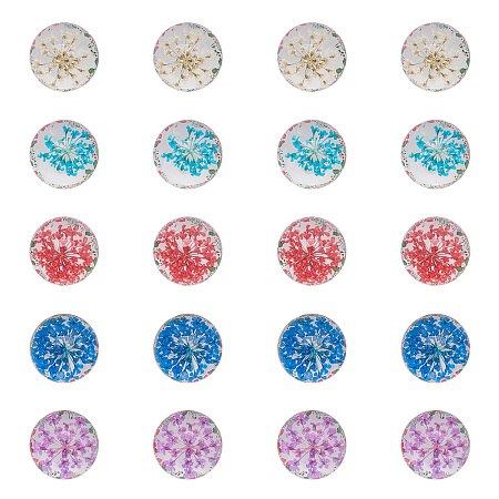 PandaHall Elite 20PCS 5 Colors 20mm Dried Flower Round Flatback Glass Dome Cabochons Gems Jewelry Making Handcrafts Scrapbooking