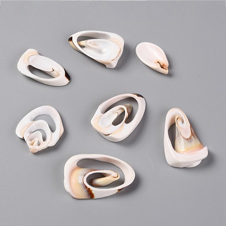 Honeyhandy Natural Freshwater Shell Beads, No Hole/Undrilled, Shell, Seashell Color, 24~35x12~24x3.5~6mm, about 198pcs/500g