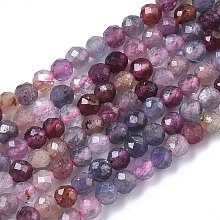 Honeyhandy Natural Ruby & Sapphire Beads Strands, Faceted, Round, 2~2.5mm, Hole: 0.6mm, about 158pcs/strand, 15.55 inch(39.5cm)