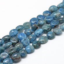 Honeyhandy Natural Apatite Beads Strands, Oval, 8~15x7~12x4~12mm, Hole: 1mm, about 30~45pcs/strand, 15.7