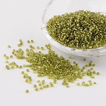 Honeyhandy 12/0 Glass Seed Beads, Silver Lined Round Hole, Round, Yellow Green, 2mm, Hole: 1mm, about 3306pcs/50g