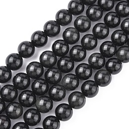 Honeyhandy Natural Obsidian Beads Strands, Round, Grade AA, Black, 14mm