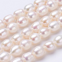 Honeyhandy Grade AA Natural Cultured Freshwater Pearl Beads Strands, Rice, Linen, 6~7x5~6mm, Hole: 0.5mm, about 50pcs/strand, 14 inch