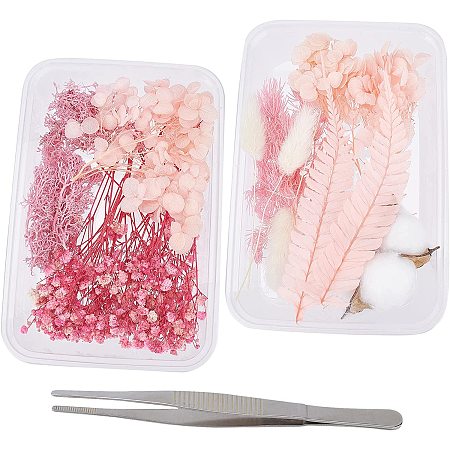 GORGECRAFT 2 Boxes Natural Pressed Flowers Real Dried Colorful Floral Leaves Plants Herbs Cotton Set Stainless Steel Tweezer for DIY Jewelry Making Soap Candle Scrapbook Resin Crafts Supplies, Pink