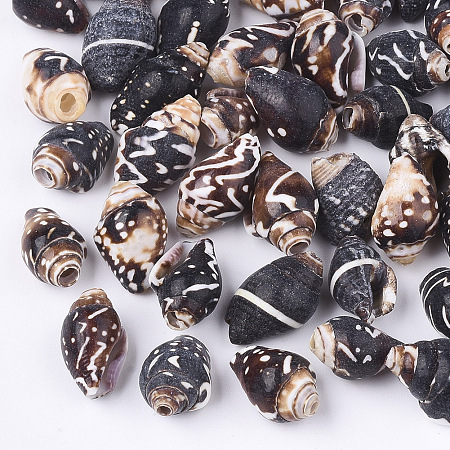 Honeyhandy Spiral Shell Beads, Coconut Brown, 10~16x7~10x7~9mm, Hole: 1~3mm