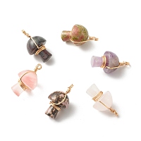 ARRICRAFT Natural Mixed Gemstone Pendants, with Real 18K Gold Plated Eco-Friendly Copper Wire Wrapped, Mushroom, 28x27.5x26mm, Hole: 3mm