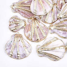 Honeyhandy Electroplate Sea Shell Pendants, with Iron Findings, Light Gold, Seashell Color, 33~47x27~43x10~14mm, Hole: 2mm