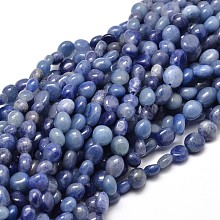 Honeyhandy Natural Dumortierite Quartz Nuggets Beads Strands, Tumbled Stone, 5~10x6~7x3~7mm, Hole: 1mm, about 14.9 inch~15.7 inch