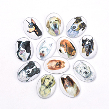 ARRICRAFT Puppy Photo Flatback Glass Cabochons, for DIY Projects, Dog Pattern, Oval, Mixed Color, 25x18x5.5mm