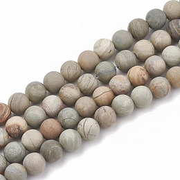 Honeyhandy Natural Silver Leaf Jasper Beads Strands, Frosted, Round, 6mm, Hole: 1mm, about 63pcs/strand, 15.5 inch