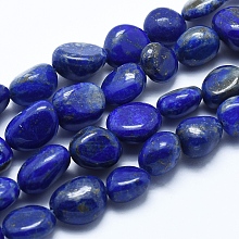 Honeyhandy Natural Lapis Lazuli Beads Strands, Tumbled Stone, Nuggets, 6~12mm, Hole: 0.8mm, about 30~35pcs/strand, 15.7 inch(40cm)