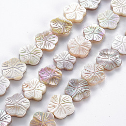 Honeyhandy Electroplated Natural Freshwater Shell Beads Strands, Flower, Seashell Color, 11~14x11.5~14x2~3.5mm, Hole: 0.6mm, about 30pcs/strand, 14.37 inch~14.76 inch(36.5~37.5cm)
