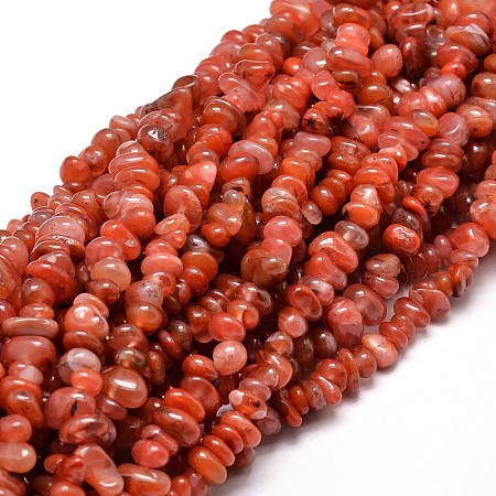 Honeyhandy Dyed Natural Carnelian Chip Beads Strands, 5~14x4~10mm, Hole: 1mm, about 15.5 inch~16.1 inch