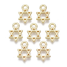 Honeyhandy Alloy Charms, for Jewish, Star of David, Light Gold, 12x8x1.5mm, Hole: 2mm