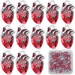 SUNNYCLUE 1 Box 30Pcs Heart Charms Bulk Alloy Anatomical Charms Red Enamel Metal Antique Silver Gothic 3D Organ Hearts Hollowen Charms for Jewelry Making Women DIY Necklaces Earrings Bracelets Crafts