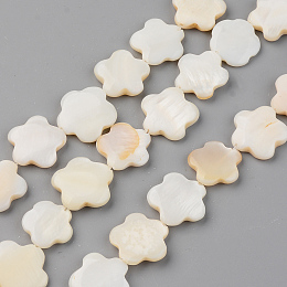 Honeyhandy Natural Freshwater Shell Beads Strands, Flower, Seashell Color, 15~17x15~17x2~4mm, Hole: 0.8mm, about 24pcs/Strand, 14.56 inch(37cm)