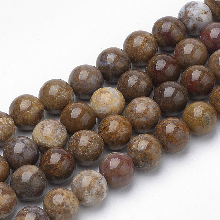 Arricraft Natural Petrified Wood(Import from America) Beads Strands, Round, 6~6.5mm, Hole: 1mm, about 63pcs/strand, 15.5 inches