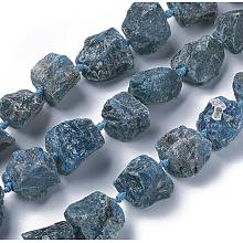 ARRICRAFT Natural Apatite Beads Strands, Nuggets, 16.5~26x16.5~29mm, Hole: 1.5mm, about 16pcs/strand, 15.5~16.3 inches(39.5~41.5cm)