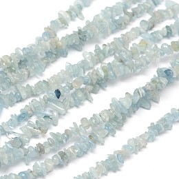 ARRICRAFT Chips Natural Aquamarine Beads Strands, 3~8x3~12x3~5mm, Hole: 1mm, about 32 inches