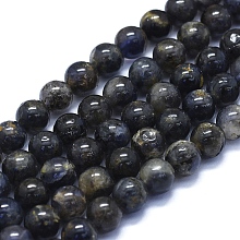 ARRICRAFT Natural Iolite Beads Strands, Round, 8mm, Hole: 1mm, about 48~49pcs/Strand, 15.35 inches(39cm)