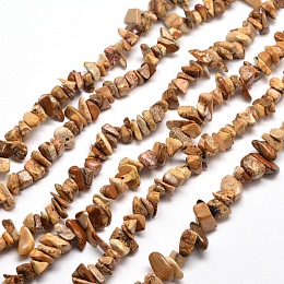 Arricraft Natural Picture Jasper Chip Bead Strands, 5~8x5~8mm, Hole: 1mm, about 31.5 inches