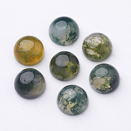 Honeyhandy Natural Moss Agate Cabochons, Half Round/Dome, Sea Green, 8x4mm