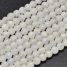 Honeyhandy Round Grade A Natural Rainbow Moonstone Bead Strands, 5.5mm, Hole: 1mm, about 69~73pcs/strand, 15.5 inch