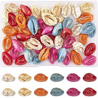 SUPERFINDINGS Natural Cowrie Shell Beads, No Hole/Undrilled, Dyed and Drawbench, Mixed Color, 18~22x12~14x7~8mm; 6 colors, 10pcs/color, 60pcs/box