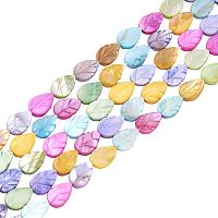 ARRICRAFT 10 Stands 360pcs Mixed Color Leaf Shell Round Beads Strands Seashells Gemstone Beads for Necklace, Bracelet, Jewelry Making, Home and Wedding Decor